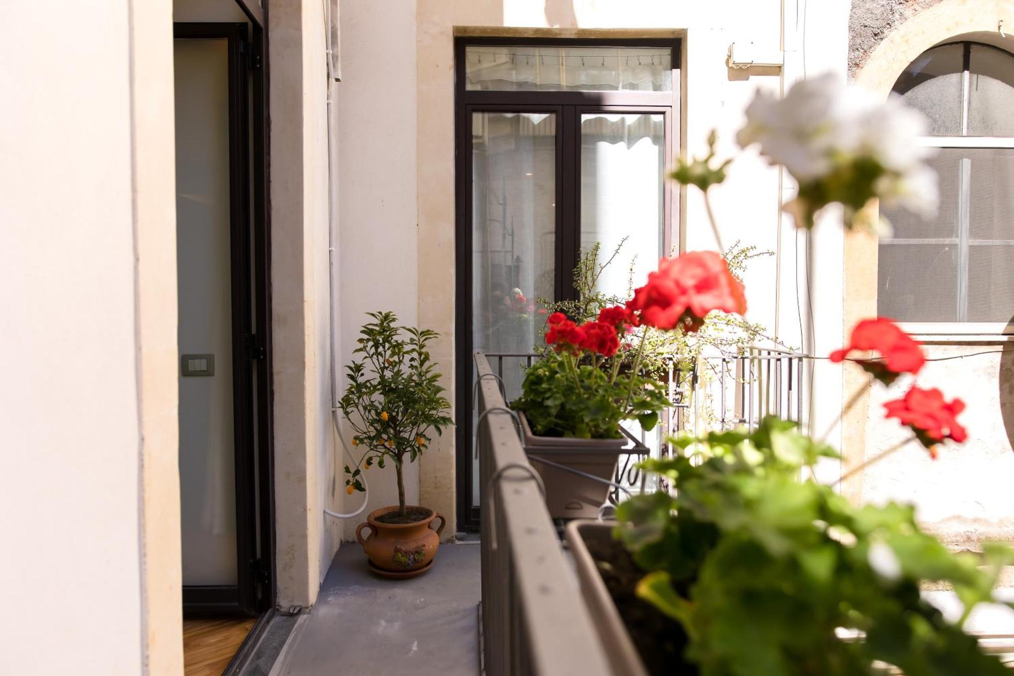 קטאניה Zagara Luxury Home מראה חיצוני תמונה